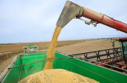 01.03.2024 На 4% увеличат экспорт агропродукции из Приморья по нацпроекту | Администрация муниципального округа город Партизанск Приморского края Официальный сайт