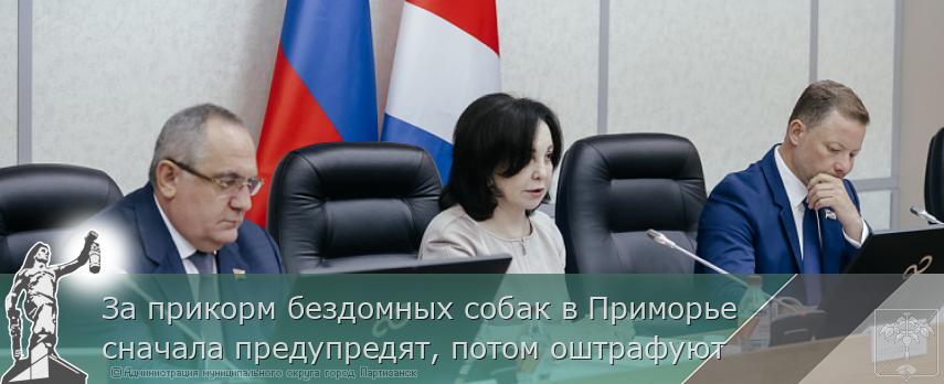 За прикорм бездомных собак в Приморье сначала предупредят, потом оштрафуют | Администрация муниципального округа город Партизанск Приморского края Официальный сайт