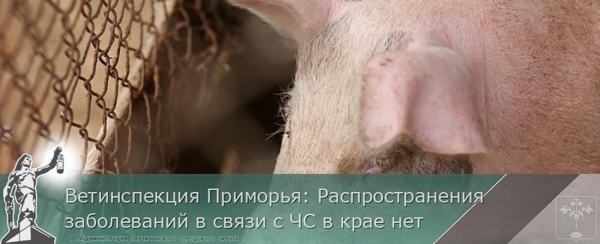 Ветинспекция Приморья: Распространения заболеваний в связи с ЧС в крае нет | Администрация муниципального округа город Партизанск Приморского края Официальный сайт