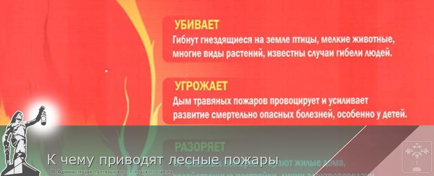 К чему приводят лесные пожары  | Администрация муниципального округа город Партизанск Приморского края Официальный сайт