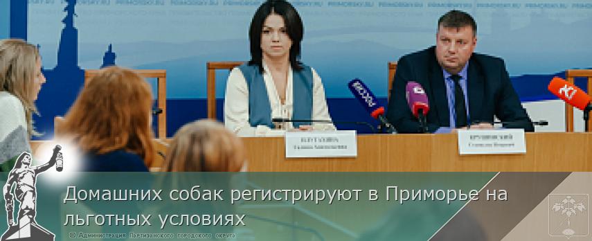 Домашних собак регистрируют в Приморье на льготных условиях | Администрация муниципального округа город Партизанск Приморского края Официальный сайт