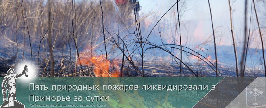 Пять природных пожаров ликвидировали в Приморье за сутки | Администрация муниципального округа город Партизанск Приморского края Официальный сайт