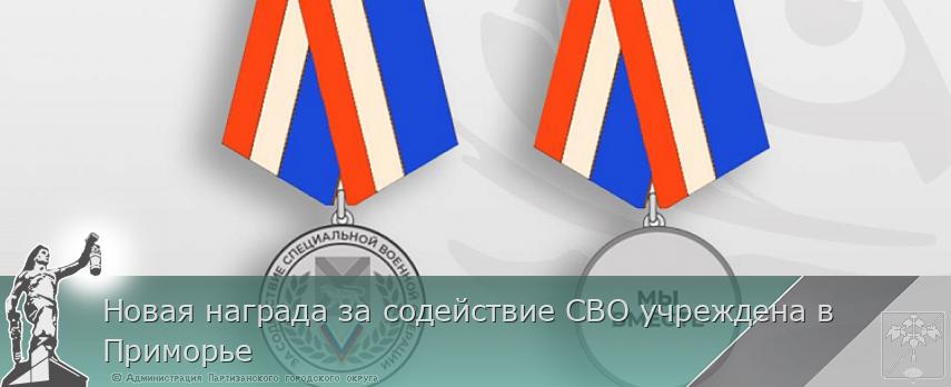 Новая награда за содействие СВО учреждена в Приморье | Администрация муниципального округа город Партизанск Приморского края Официальный сайт