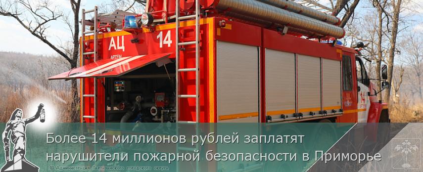 Более 14 миллионов рублей заплатят нарушители пожарной безопасности в Приморье  | Администрация муниципального округа город Партизанск Приморского края Официальный сайт