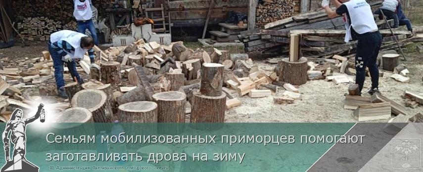 Семьям мобилизованных приморцев помогают заготавливать дрова на зиму | Администрация муниципального округа город Партизанск Приморского края Официальный сайт