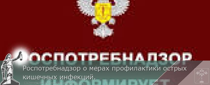 Роспотребнадзор о мерах профилактики острых кишечных инфекций. | Администрация муниципального округа город Партизанск Приморского края Официальный сайт