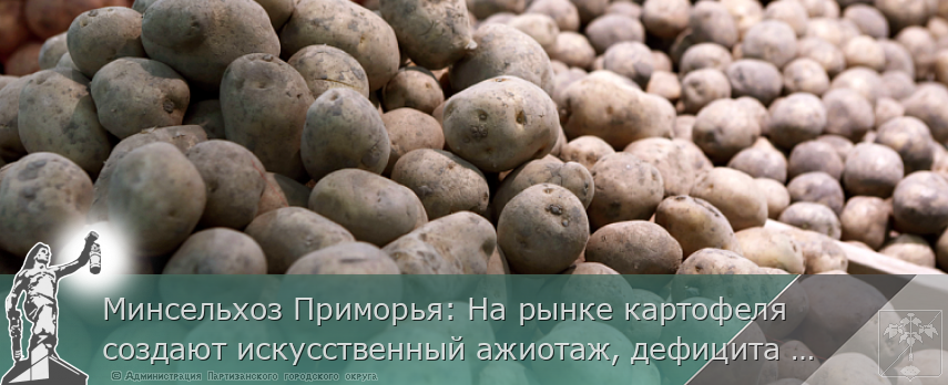Минсельхоз Приморья: На рынке картофеля создают искусственный ажиотаж, дефицита овощей в крае нет | Администрация муниципального округа город Партизанск Приморского края Официальный сайт