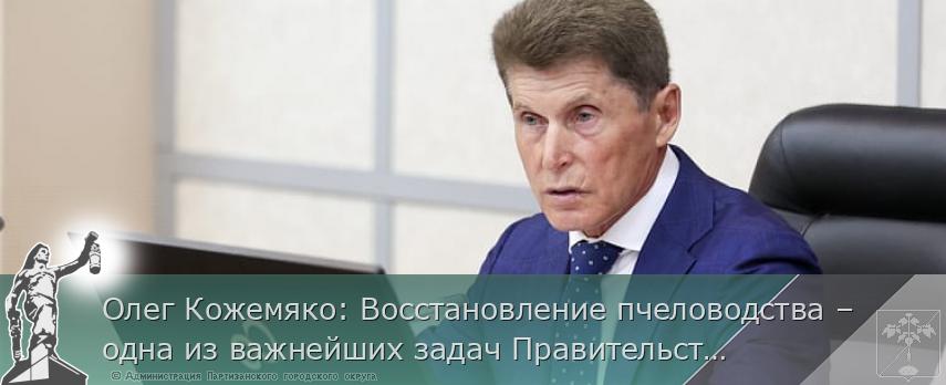 Олег Кожемяко: Восстановление пчеловодства – одна из важнейших задач Правительства края | Администрация муниципального округа город Партизанск Приморского края Официальный сайт