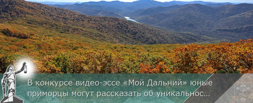 В конкурсе видео-эссе «Мой Дальний» юные приморцы могут рассказать об уникальности нашего края | Администрация муниципального округа город Партизанск Приморского края Официальный сайт