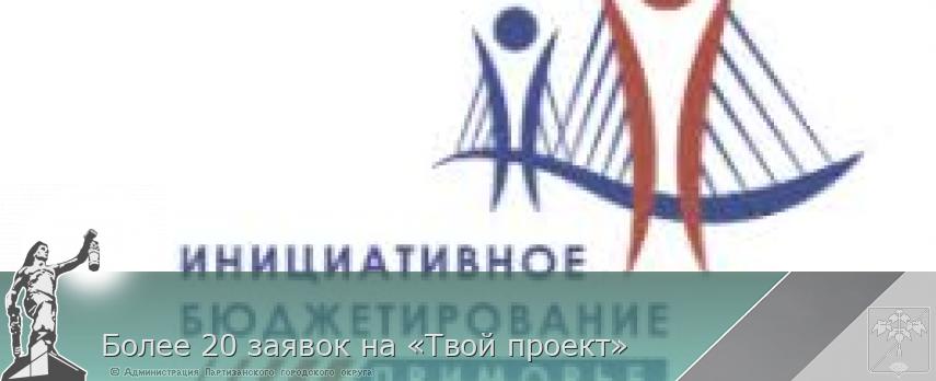 Более 20 заявок на «Твой проект» | Администрация муниципального округа город Партизанск Приморского края Официальный сайт