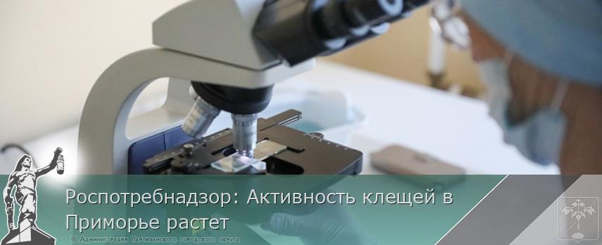 Роспотребнадзор: Активность клещей в Приморье растет  | Администрация муниципального округа город Партизанск Приморского края Официальный сайт