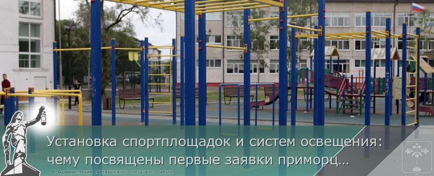 Установка спортплощадок и систем освещения: чему посвящены первые заявки приморцев на конкурс грантов для ТОС | Администрация муниципального округа город Партизанск Приморского края Официальный сайт