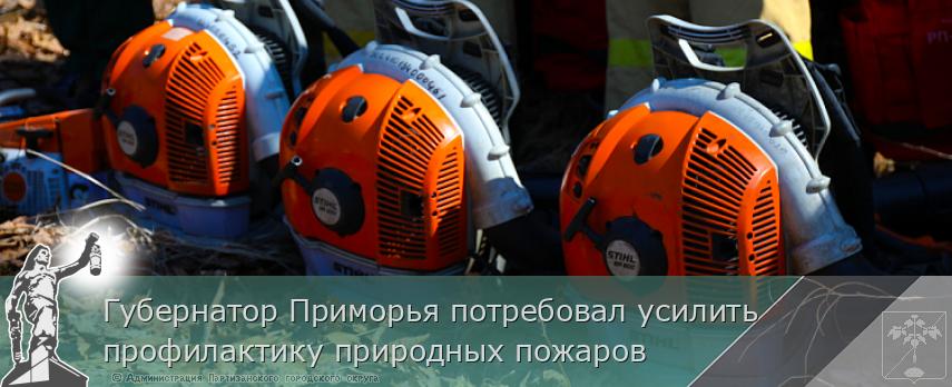 Губернатор Приморья потребовал усилить профилактику природных пожаров | Администрация муниципального округа город Партизанск Приморского края Официальный сайт
