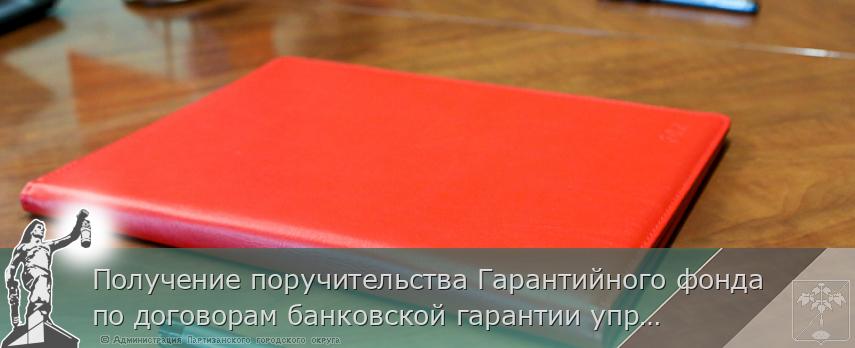 Получение поручительства Гарантийного фонда по договорам банковской гарантии упростили для бизнеса Приморья | Администрация муниципального округа город Партизанск Приморского края Официальный сайт