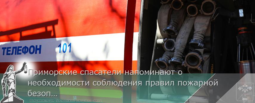 Приморские спасатели напоминают о необходимости соблюдения правил пожарной безопасности. ПАМЯТКА | Администрация муниципального округа город Партизанск Приморского края Официальный сайт