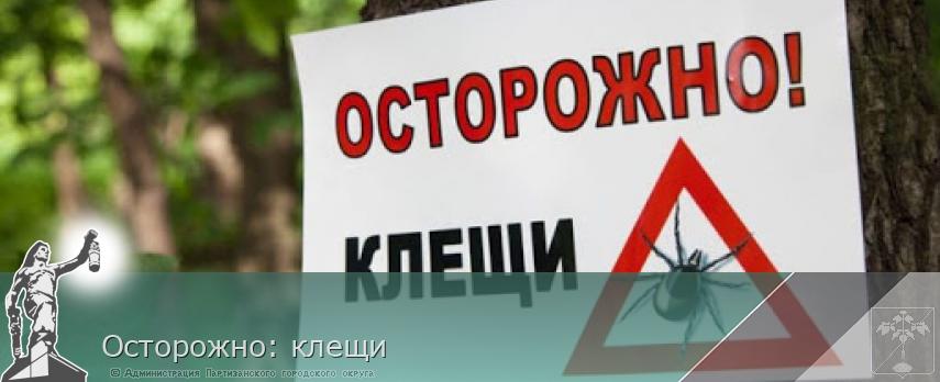 Осторожно: клещи | Администрация муниципального округа город Партизанск Приморского края Официальный сайт