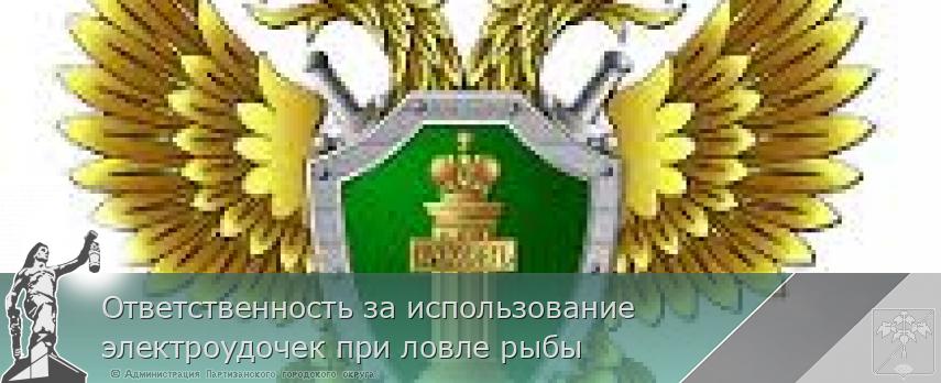 Ответственность за использование электроудочек при ловле рыбы | Администрация муниципального округа город Партизанск Приморского края Официальный сайт