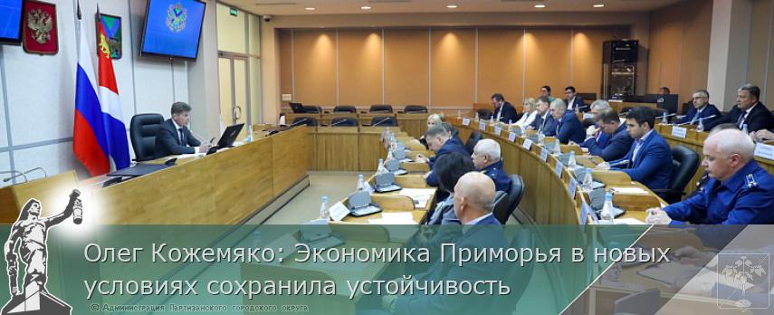 Олег Кожемяко: Экономика Приморья в новых условиях сохранила устойчивость | Администрация муниципального округа город Партизанск Приморского края Официальный сайт