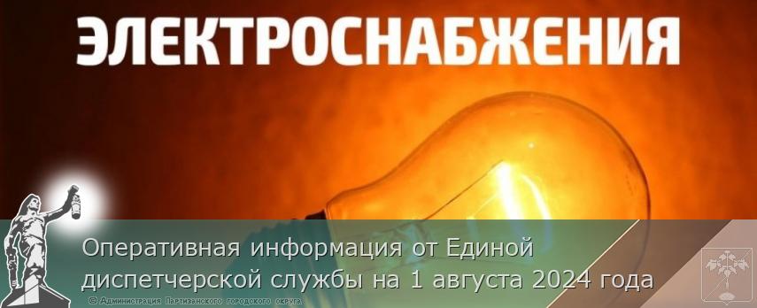 Оперативная информация от Единой диспетчерской службы на 1 августа 2024 года | Администрация муниципального округа город Партизанск Приморского края Официальный сайт