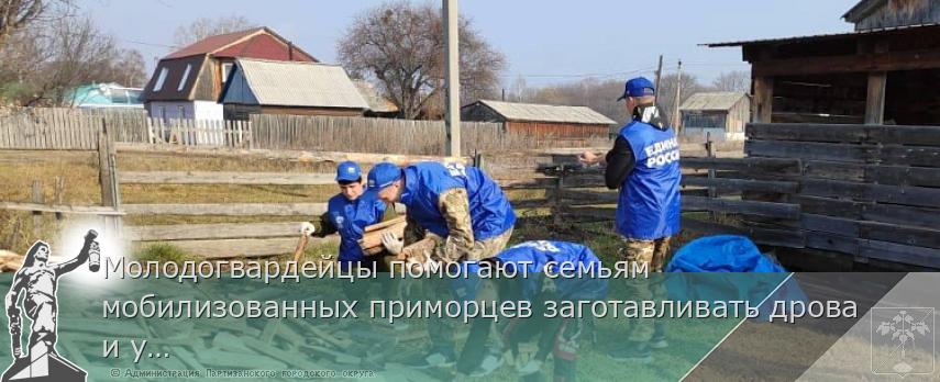 Молодогвардейцы помогают семьям мобилизованных приморцев заготавливать дрова и убирать огороды, сообщает www.primorsky.ru | Администрация муниципального округа город Партизанск Приморского края Официальный сайт