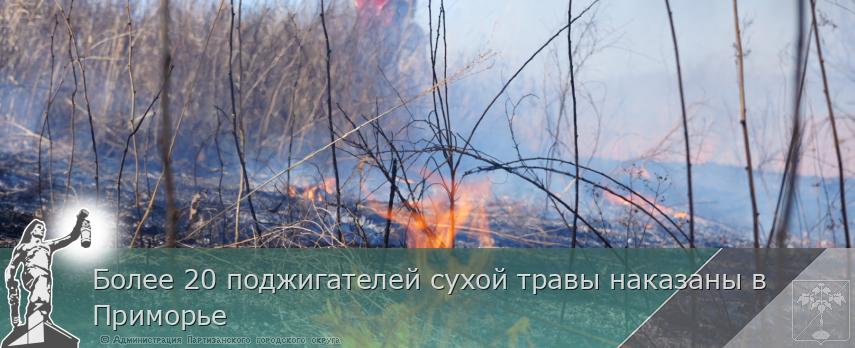 Более 20 поджигателей сухой травы наказаны в Приморье | Администрация муниципального округа город Партизанск Приморского края Официальный сайт