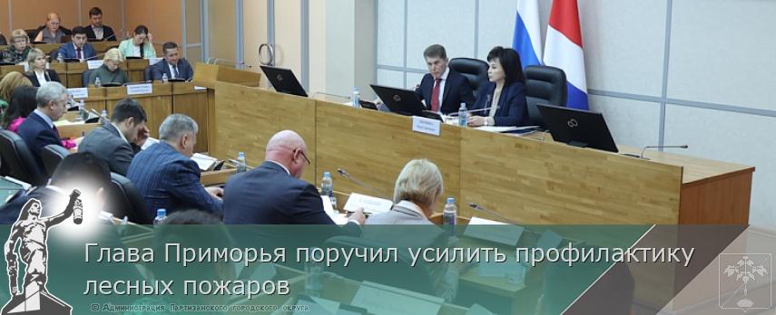 Глава Приморья поручил усилить профилактику лесных пожаров | Администрация муниципального округа город Партизанск Приморского края Официальный сайт