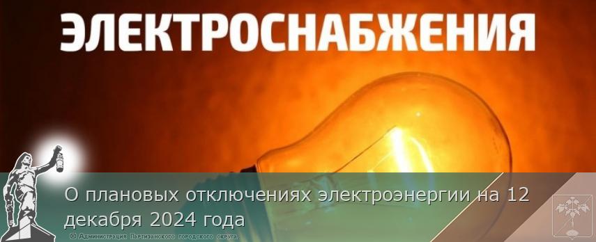 О плановых отключениях электроэнергии на 12 декабря 2024 года | Администрация муниципального округа город Партизанск Приморского края Официальный сайт