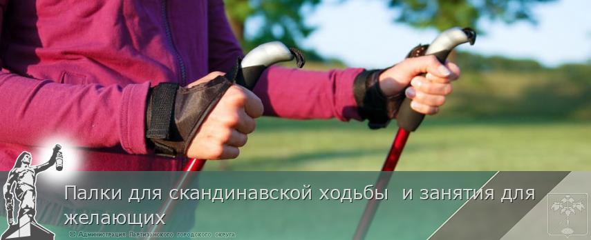 Палки для скандинавской ходьбы  и занятия для желающих | Администрация муниципального округа город Партизанск Приморского края Официальный сайт
