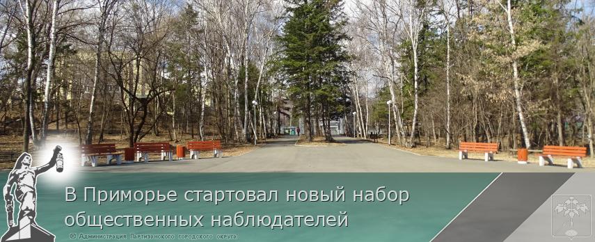 В Приморье стартовал новый набор общественных наблюдателей | Администрация муниципального округа город Партизанск Приморского края Официальный сайт