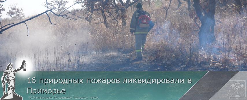 16 природных пожаров ликвидировали в Приморье | Администрация муниципального округа город Партизанск Приморского края Официальный сайт