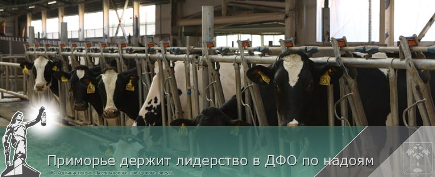 Приморье держит лидерство в ДФО по надоям | Администрация муниципального округа город Партизанск Приморского края Официальный сайт