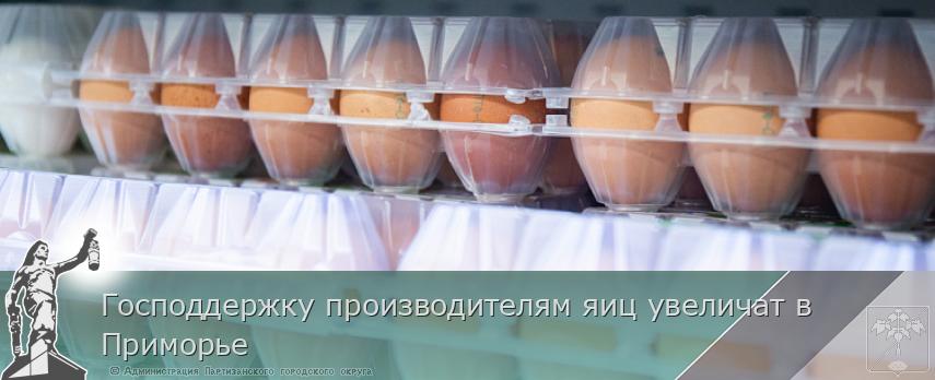 Господдержку производителям яиц увеличат в Приморье | Администрация муниципального округа город Партизанск Приморского края Официальный сайт