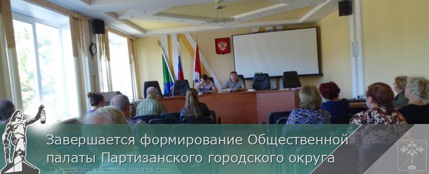 Завершается формирование Общественной палаты Партизанского городского округа | Администрация муниципального округа город Партизанск Приморского края Официальный сайт