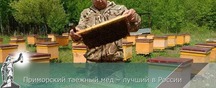 Приморский таежный мед – лучший в России  | Администрация муниципального округа город Партизанск Приморского края Официальный сайт