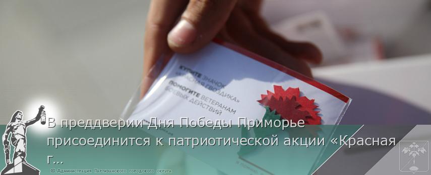 В преддверии Дня Победы Приморье присоединится к патриотической акции «Красная гвоздика» | Администрация муниципального округа город Партизанск Приморского края Официальный сайт