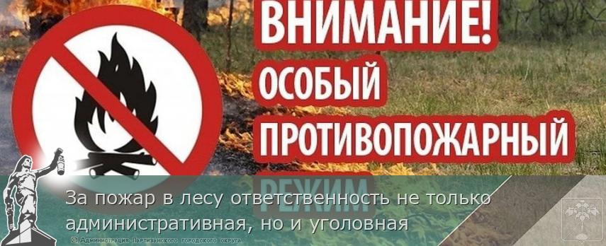 За пожар в лесу ответственность не только административная, но и уголовная | Администрация муниципального округа город Партизанск Приморского края Официальный сайт