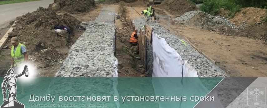 Дамбу восстановят в установленные сроки | Администрация муниципального округа город Партизанск Приморского края Официальный сайт