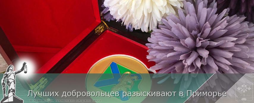 Лучших добровольцев разыскивают в Приморье | Администрация муниципального округа город Партизанск Приморского края Официальный сайт