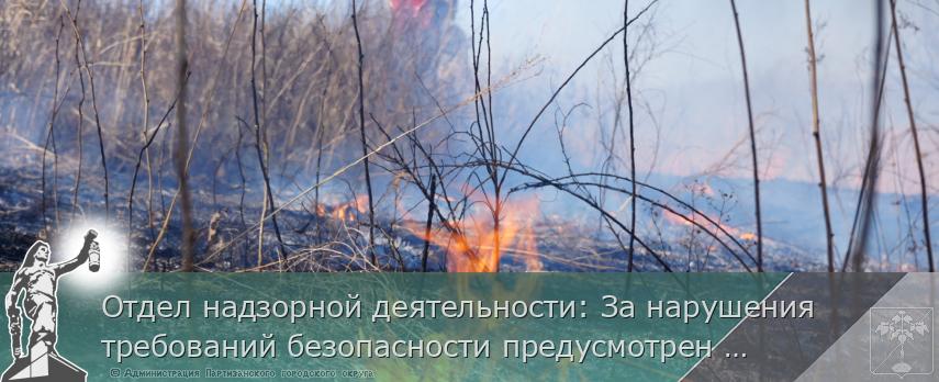 Отдел надзорной деятельности: За нарушения требований безопасности предусмотрен штраф | Администрация муниципального округа город Партизанск Приморского края Официальный сайт