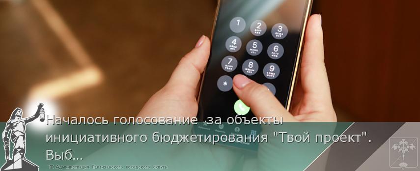 Началось голосование  за объекты инициативного бюджетирования &quot;Твой проект&quot;. Выбираем лучшие | Администрация муниципального округа город Партизанск Приморского края Официальный сайт