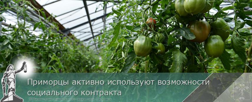 Приморцы активно используют возможности социального контракта | Администрация муниципального округа город Партизанск Приморского края Официальный сайт