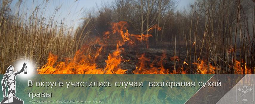 В округе участились случаи  возгорания сухой травы | Администрация муниципального округа город Партизанск Приморского края Официальный сайт