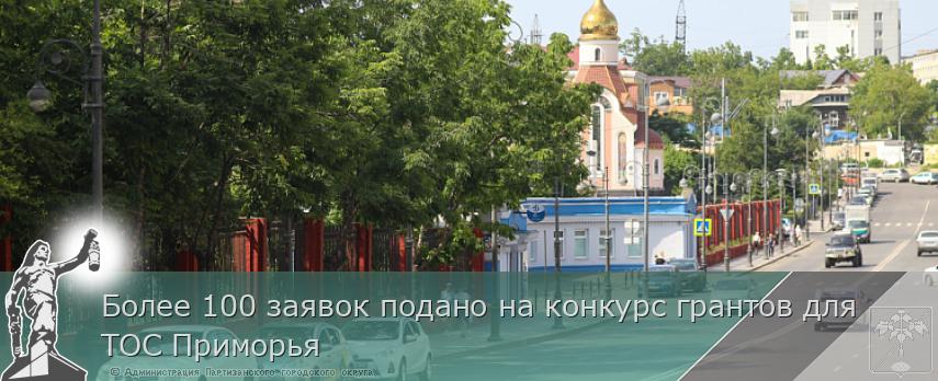 Более 100 заявок подано на конкурс грантов для ТОС Приморья | Администрация муниципального округа город Партизанск Приморского края Официальный сайт