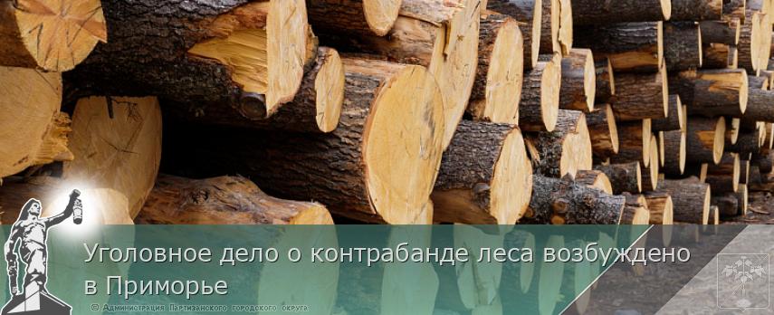 Уголовное дело о контрабанде леса возбуждено в Приморье | Администрация муниципального округа город Партизанск Приморского края Официальный сайт