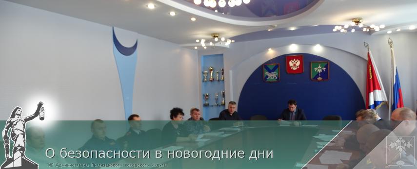 О безопасности в новогодние дни | Администрация муниципального округа город Партизанск Приморского края Официальный сайт
