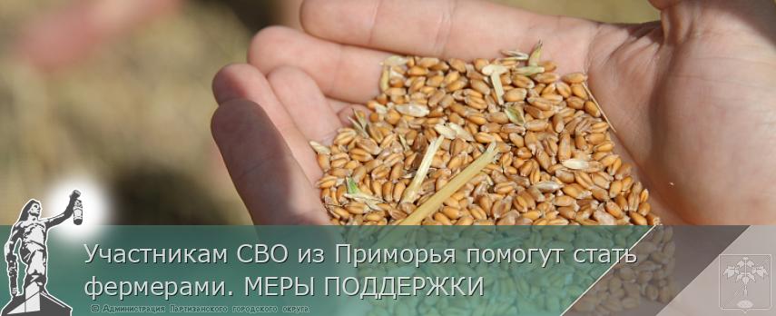 Участникам СВО из Приморья помогут стать фермерами. МЕРЫ ПОДДЕРЖКИ | Администрация муниципального округа город Партизанск Приморского края Официальный сайт