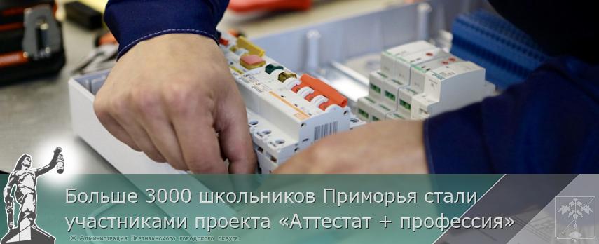 Больше 3000 школьников Приморья стали участниками проекта «Аттестат + профессия» | Администрация муниципального округа город Партизанск Приморского края Официальный сайт