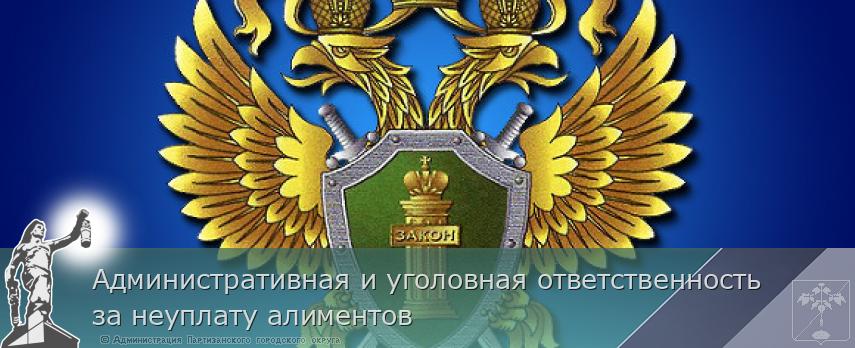 Административная и уголовная ответственность за неуплату алиментов | Администрация муниципального округа город Партизанск Приморского края Официальный сайт